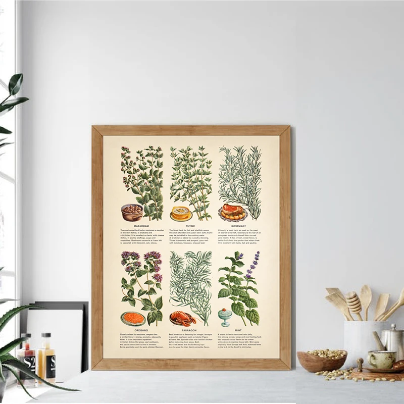 Vintage Botaanika-ja Maitsetaimede Plakat Lõuendile Maali Köögi Seina Art Decor ,Herb Taimed Haridus-Art Prints Seina Pildid